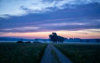 Wallpaper Spring Morning Evening Road Fog Nature