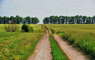 Hilly Country Road Field Trees Desktop Pc And Mac Wallpaper