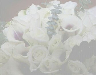 Use This Background In Your Picaboo Photo Book