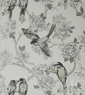 Songbird Wallpaper By Prestigious Textiles Jane Clayton