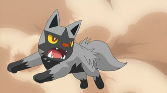Team Flare S Poochyena Pok Mon