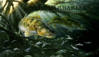 Walleye