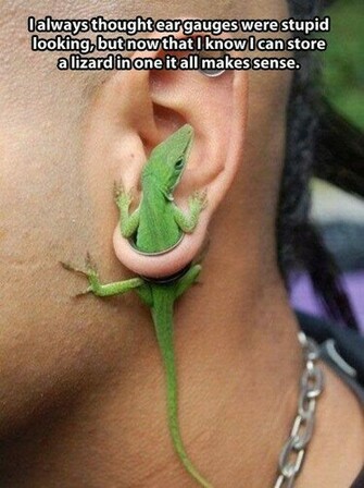 Funny Comedy Wallpaper Pak Globe