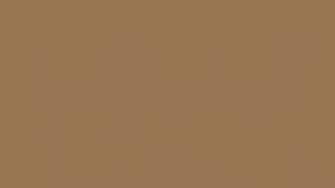Resolution Pale Brown Solid Color Background And