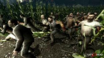 Left Dead Cornfield Wallpaper Game HD Video Games
