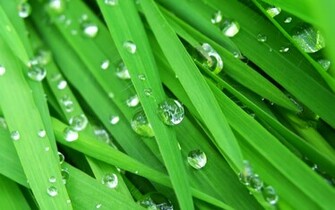 Amazing HD Raindrops Wallpaper Collection