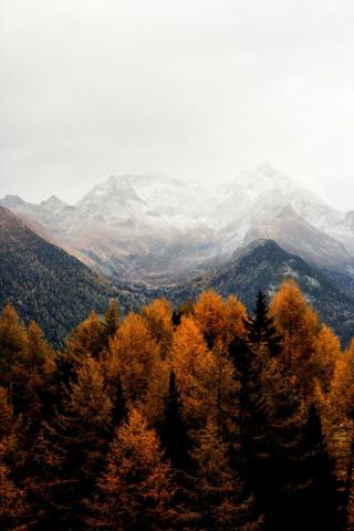 Autumn Wallpaper HD Hq