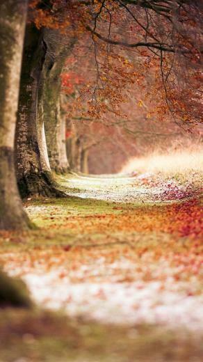 Nature Wallpaper For iPhone HD
