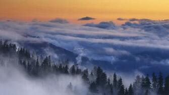 Pacific Northwest Wallpaper