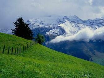 Nature Summer Wallpaper Stocks