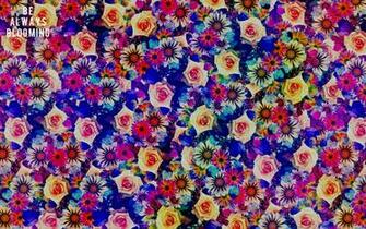 Image Bohemian Computer Wallpaper