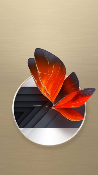 Butterfly iPhone Wallpaper