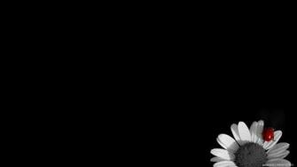 Labels Black Wallpaper Desktop
