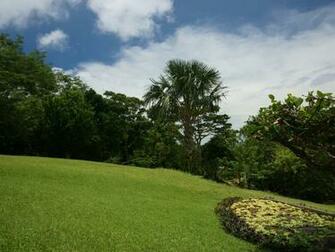 All Below Golf Sceneries Are From Course Ponderosa Puerto Galera
