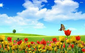 Funmozar Spring Flowers And Butterflies Wallpaper