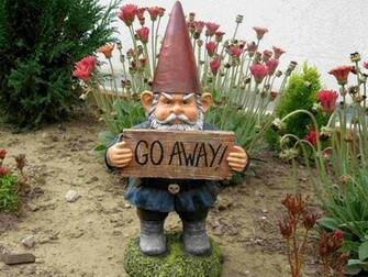 Wallpaper Garden Gnome High Resolution