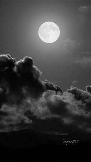 Black White Mobile Wallpaper Hottest Pictures