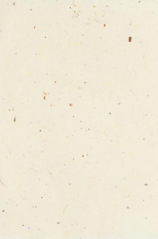 Simple Beige Background Text Space Image By Rawpixel