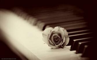 Wallpaper Rose Piano Background Desktop In