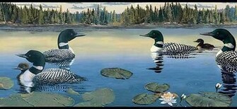 Loon Wallpaper Border Inc