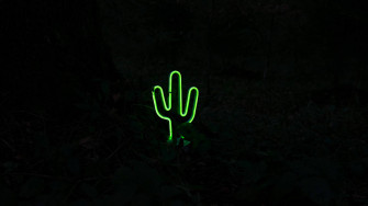 Top Neon Green Aesthetic Wallpaper Full HD 4k To Use