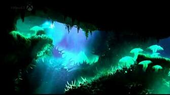 Ori Blind Forest Action Adventure Rpg Fantasy
