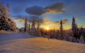 Mount Rainier National Park Winter Sunset Wallpaper Pre