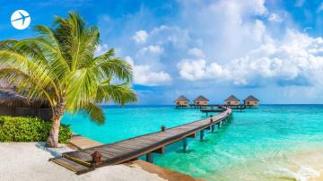 Zoom Background To Put You In The Moment Expedia Finder