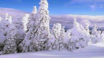 White Christmas HD Wallpaper