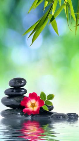 Zen iPhone Wallpaper Background