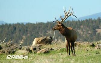 Desktop Wallpaper Hunting Fishing Wildlife And Nature