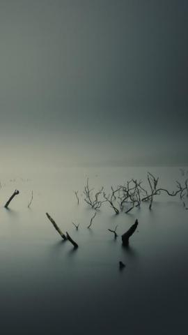 Calm Overcast Mobile Wallpaper Mobiles Wall