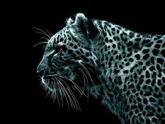 Black Leopard Wallpaper Top Quality
