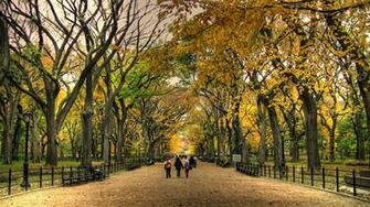 Central Park Wallpaper
