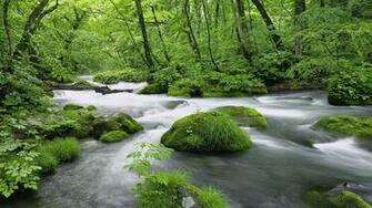 Full HD Size Nature Wallpaper S