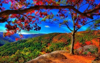 Definition Wallpaper Photo Citizens Html