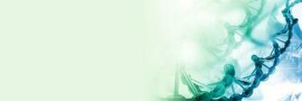 Pharmaceutical And Biotech It Solutions Hcl Technologies