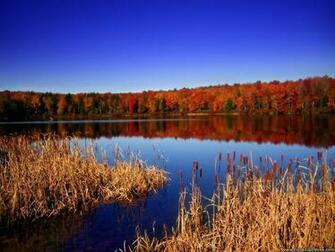 Wallpaper Natural Background Pennsylvania