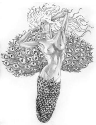 Peacock Drawing Sketch Mermaid By
