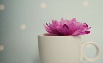 Pretty Pink Wallpaper HD