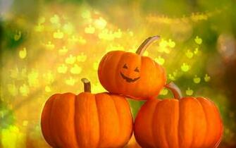 Cool Photography Pumpkin Wallpaper HD