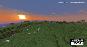 Village City Npc Transformed Into A Big