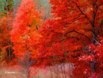 Quot Fall In Northern Michigan Usa By Dee Michalski Nature
