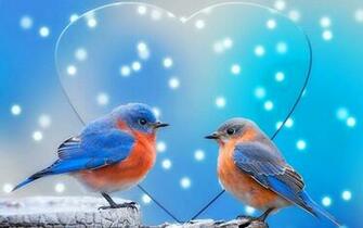 Birds Hearts Bluebirds Wallpaper High Quality