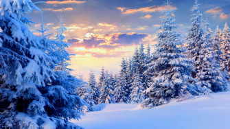 Snow Aesthetic Wallpaper