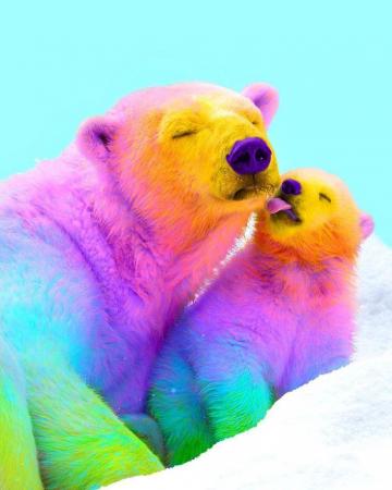 Animals The Magnificent Rainbow Makeover Edition