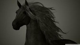 Black Horse Wallpaper Image In Collection