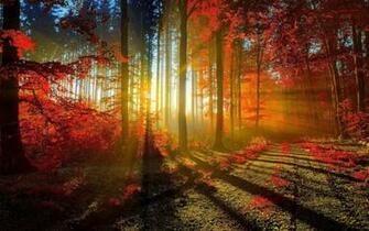 Cool Spring Background Wallpaper