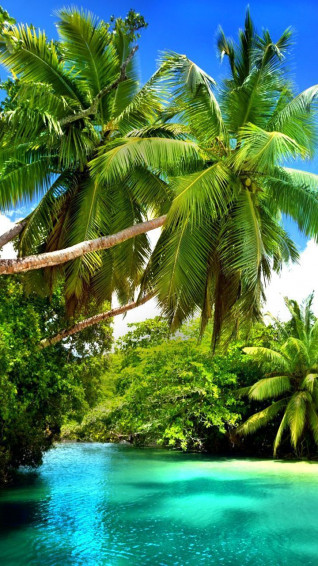Hello Summer Wallpaper For Mobile Phone Tablet Desktop Computer