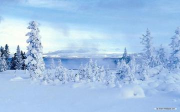 Winter Wonderland Wallpaper HD In